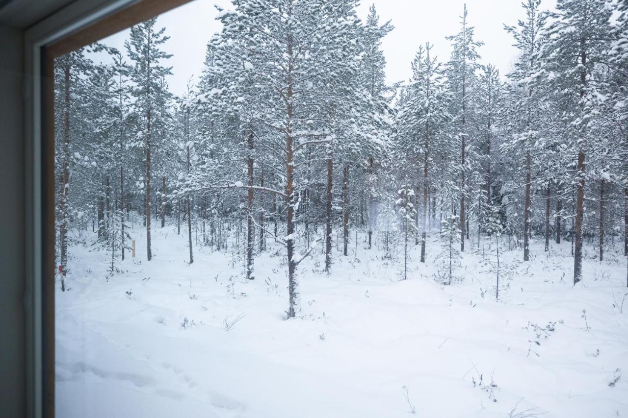 Premium Lapland Villa With Jaguzzi Rovaniemi Exteriör bild